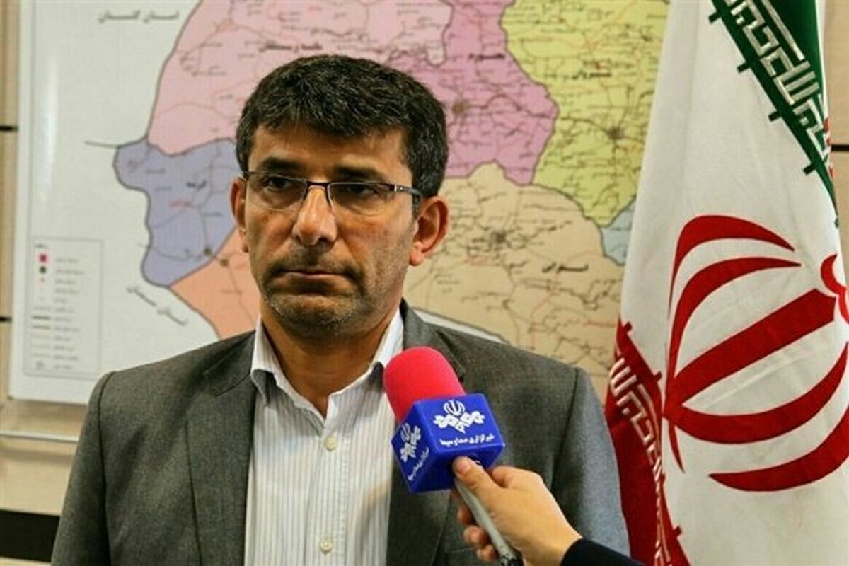 محمد شکرچی‌زاده