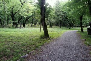 بوستان جنگلی سرخه حصار پس از مدت ها بازگشایی شد