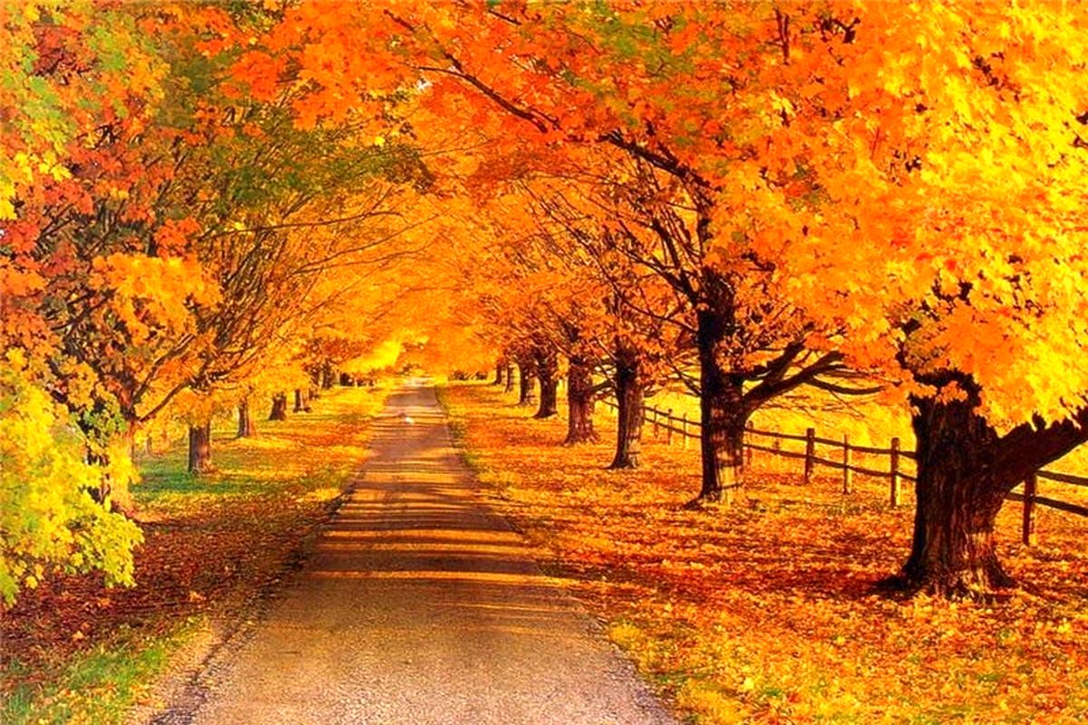 هواشناسی گیلان