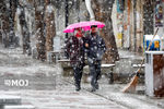 برف و باران ۲۰ استان کشور را در بر می‌گیرد
