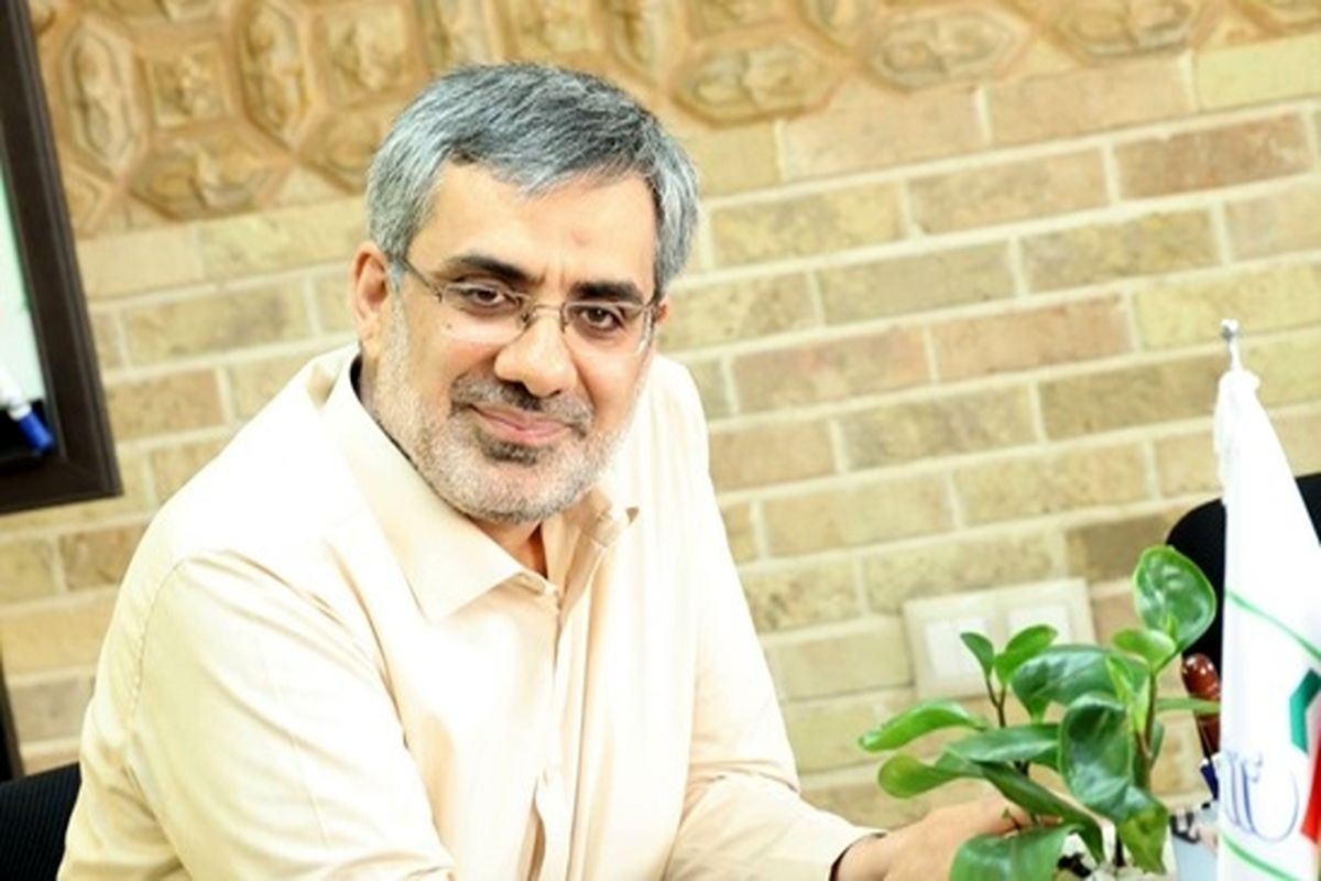 مدیرعامل سازمان ملی زمین و مسکن