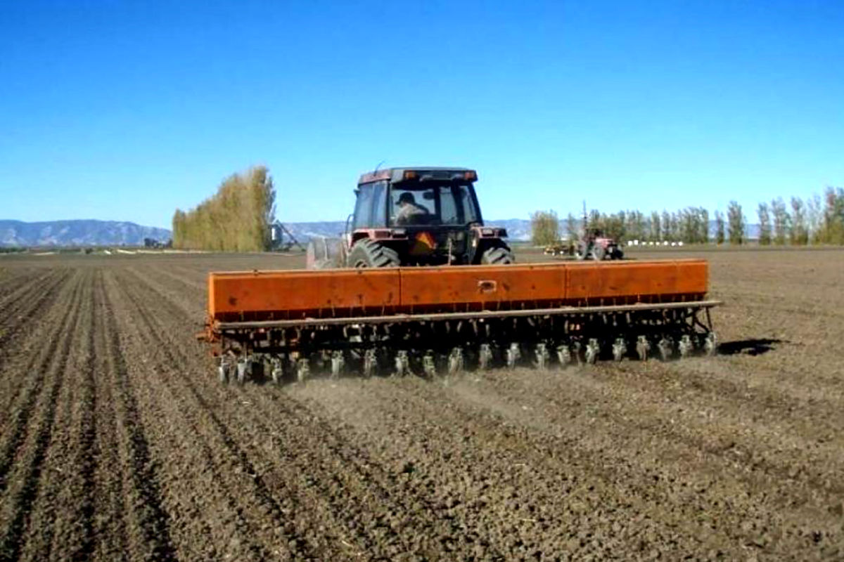 کاهش  کشت پاییزه جو