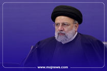 اینفوگرافیک/اقدامات ماندگار رئیس‌جمهور شهید در حوزه سلامت 