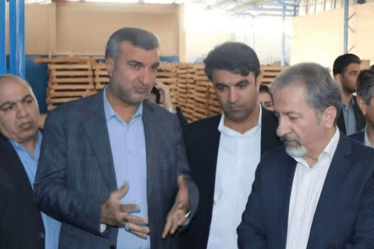 بازدید