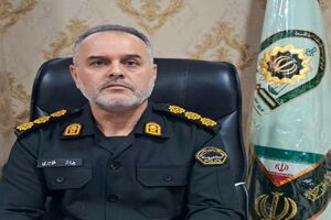 پلیس میاندورود ۳ تن چوب جنگلی قاچاق را کشف کرد
