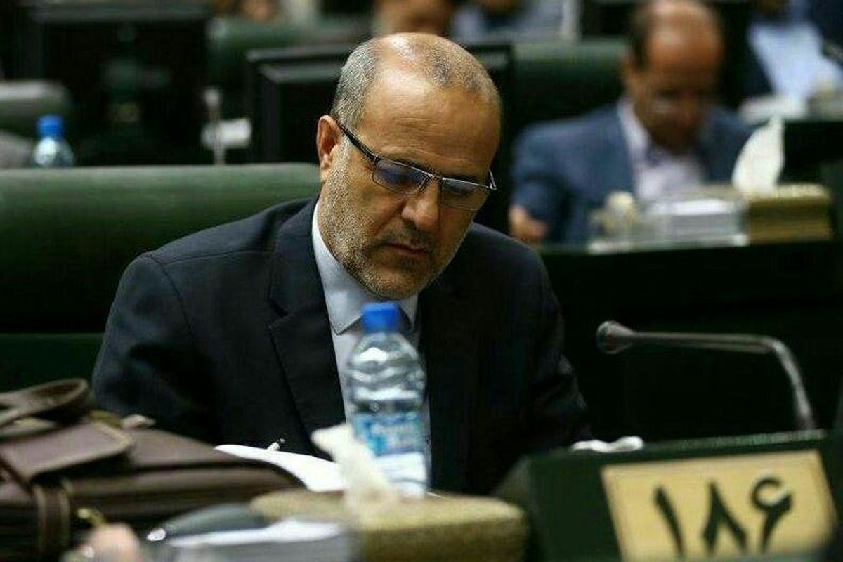 میر حمایت میر زاده 