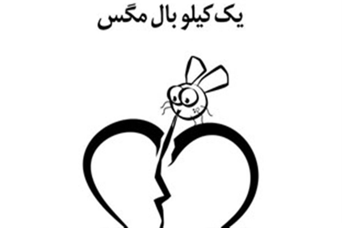 مستند یک کیلو بال مگس