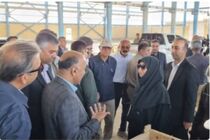 بازدید معاون رئیس‌جمهور از تصفیه‌خانه فاضلاب بندرعباس