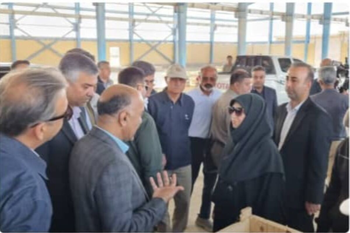 بازدید از تصفیه خانه فاضلاب
