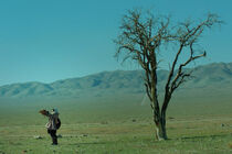 فیلم سینمایی «مسخ در مسلخ»  راهی اسپانیا می‌شود