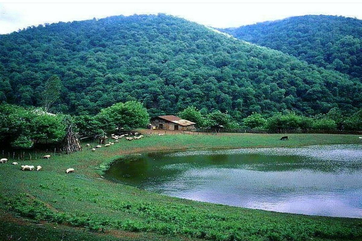 ساماندهی دریاچه خورگام بره سر