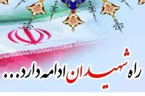 ساماندهی گلزار شهدا جدی گرفته شود