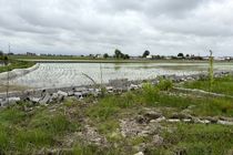 ۳۵۰ میلیاردی اراضی کشاورزی در محمودآباد رهاسازی شد