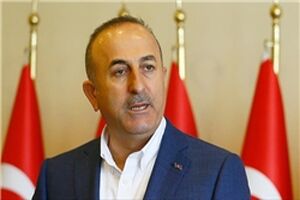  اظهارات فرانسه درباره عملیات عفرین توهین آمیز است