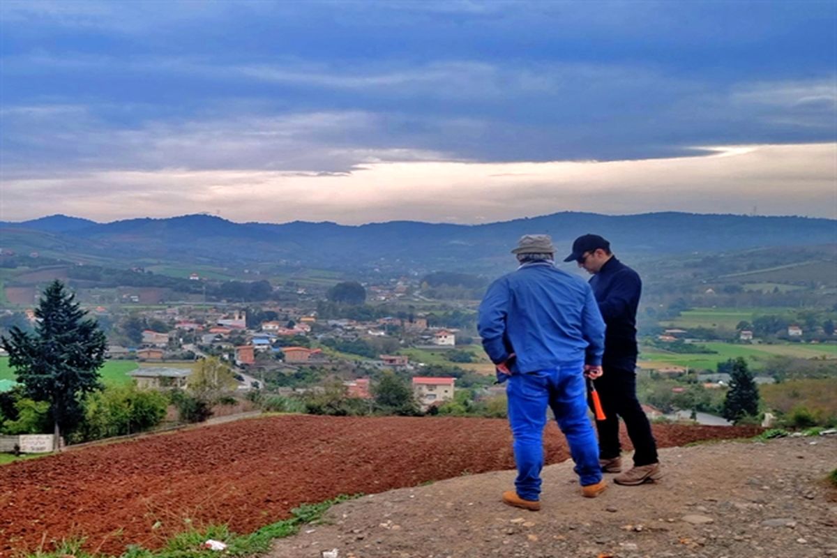 مسکن و شهرسازی