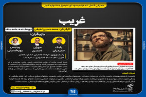 اینفوگرافیک/ فیلم غریب