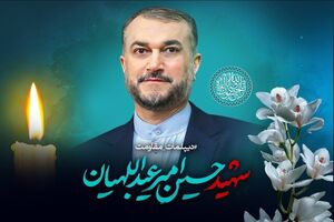 ویدئویی از زیارت شهید عبداللهیان از حرم حضرت رقیه (س)