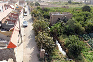 روند تملک باغات شهر برای تبدیل به بوستان ادامه پیدا می‌کند