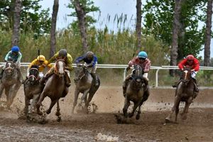 ماراتُن هفته هفتم اسبدوانی گنبدکاووس پایان یافت