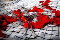 گلباران گلزارها و قبور مطهر شهیدان به مناسبت دهه با شکوه فجر