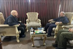 سفیر ایران در عراق با رئیس مجلس شورای اسلامی دیدار و گفتگو کرد