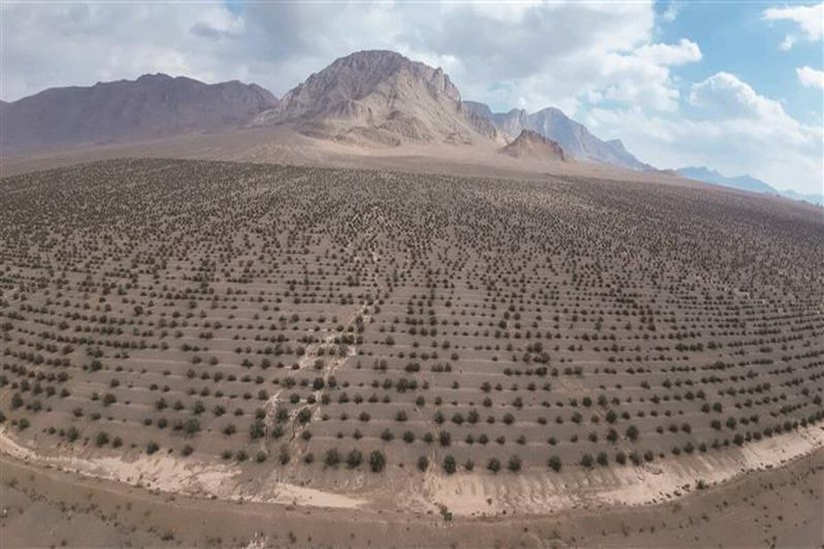 فولاد مبارکه اصفهان