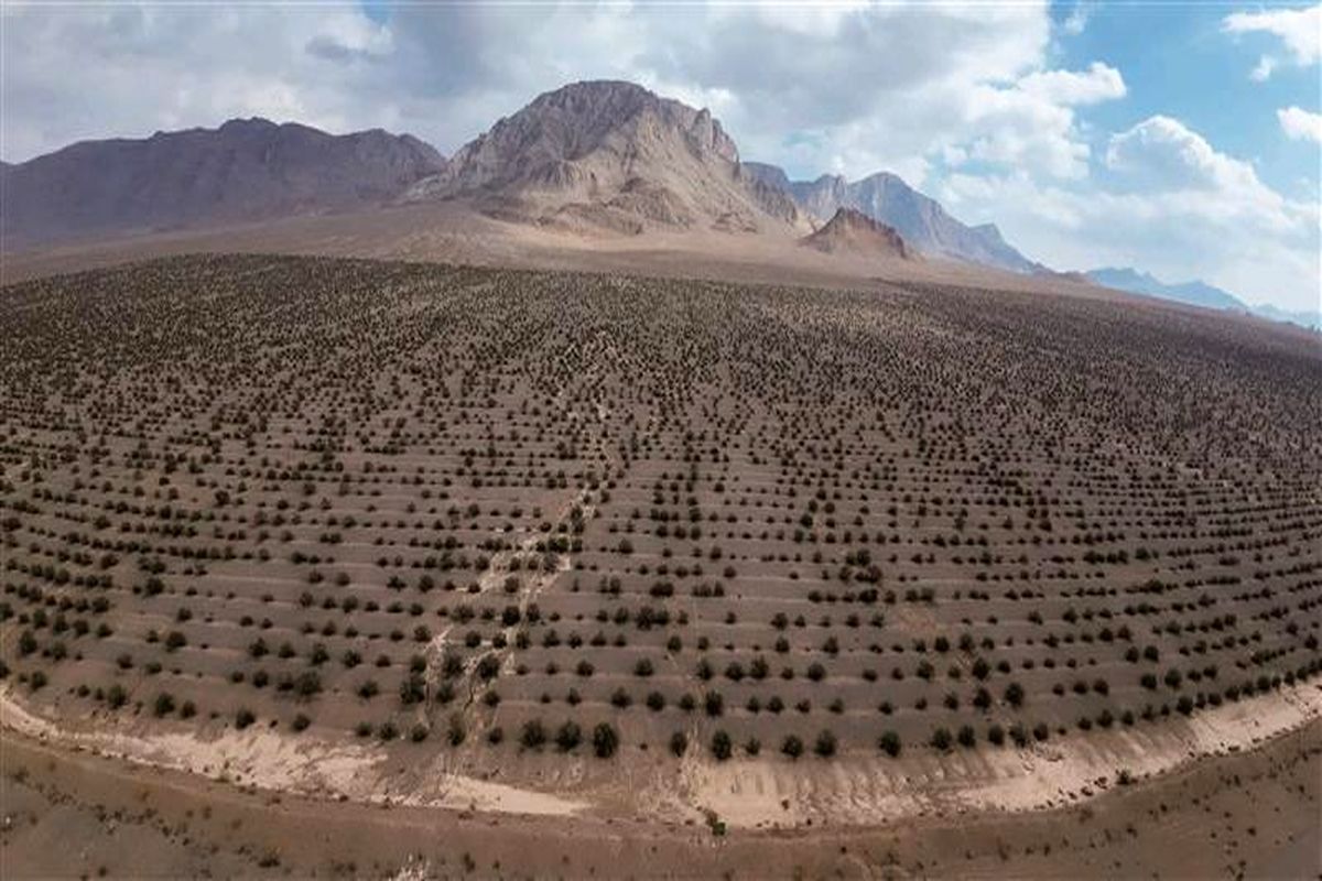 فولاد مبارکه اصفهان