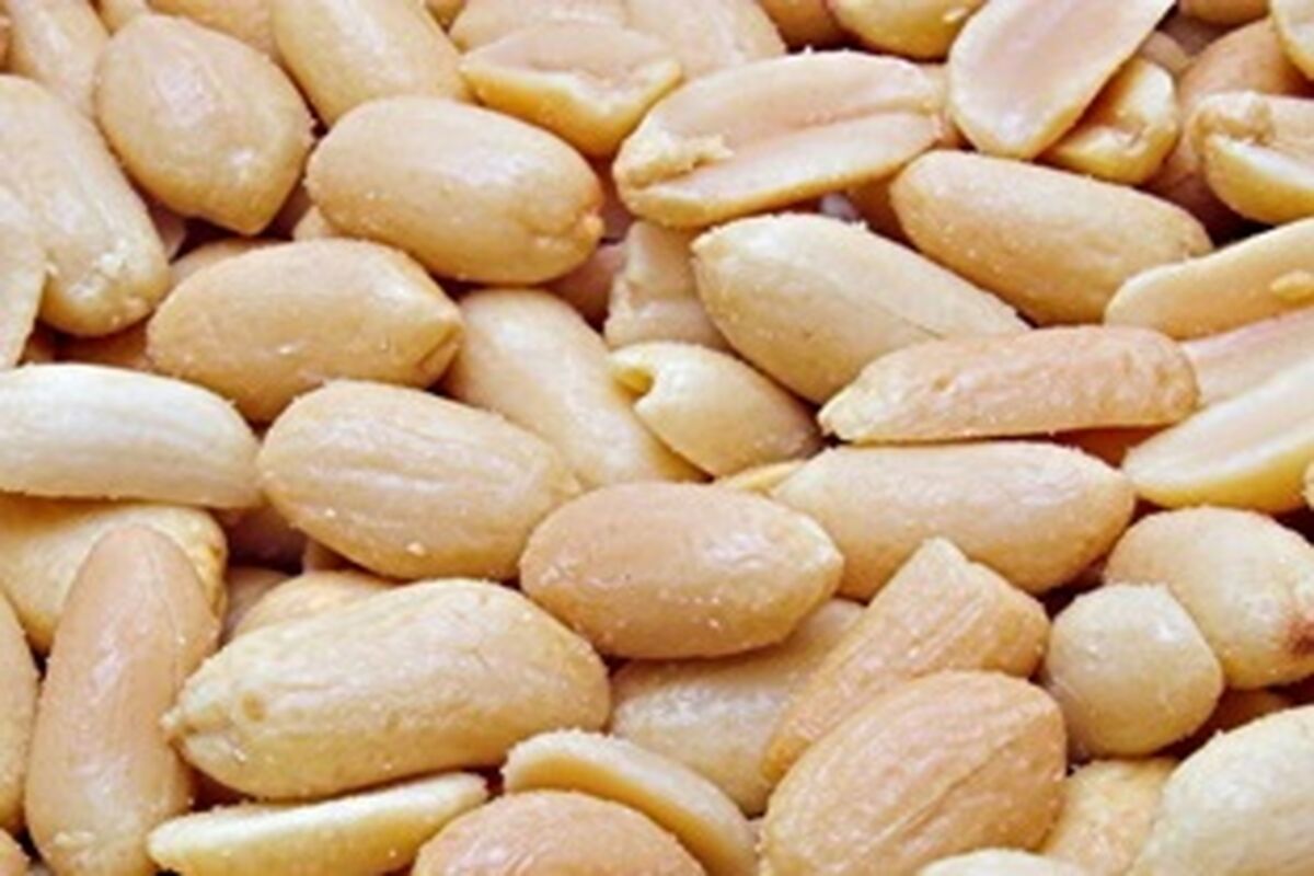 مغز بادام زمینی قاچاق