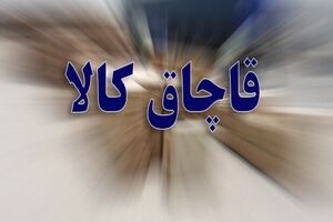 کشف 30 میلیاردی داروی دامی خارجی قاچاق در اتوبان اردبیل-آستارا
