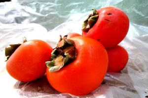 تولید 150 تن خرمالو در میاندورود