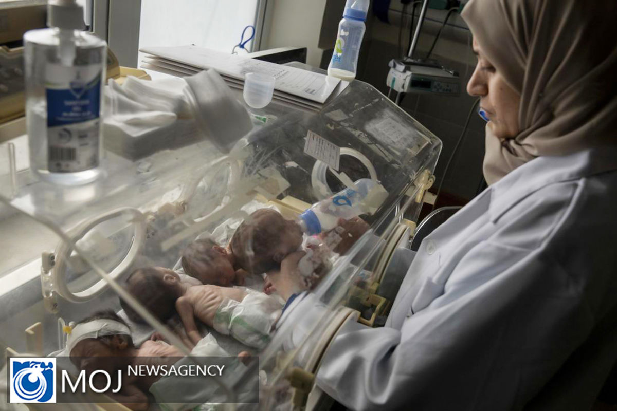انتقال نوزادان تازه متولد شده از غزه به مصر