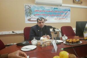 رشد 15 درصدی نیروگاه برق بیستون و اسلام‌آبادغرب در تولید انرژی خالص