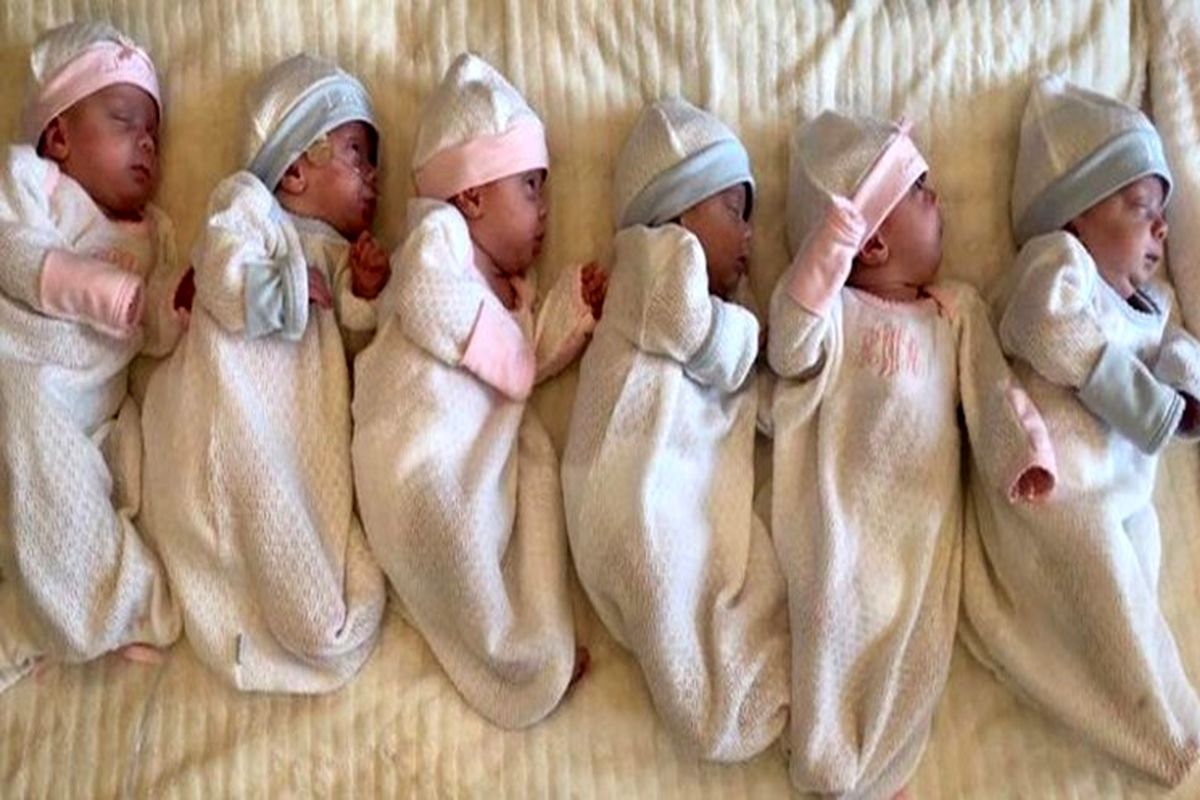 چند قلوزایی