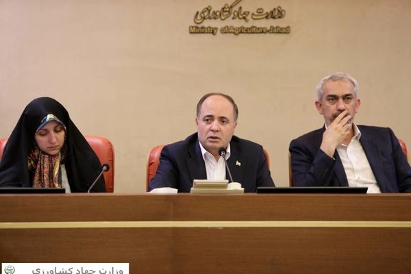 مسئولیت‌های نظارتی در یک ساختار منسجم سامان‌دهی شود