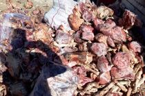 کشف و معدوم سازی بیش از ۲۲  تن مواد غذایی فاسد در خراسان رضوی
