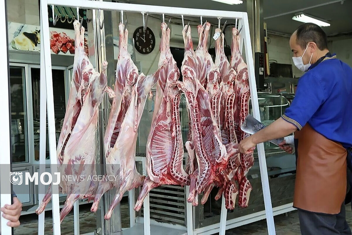 گوشت