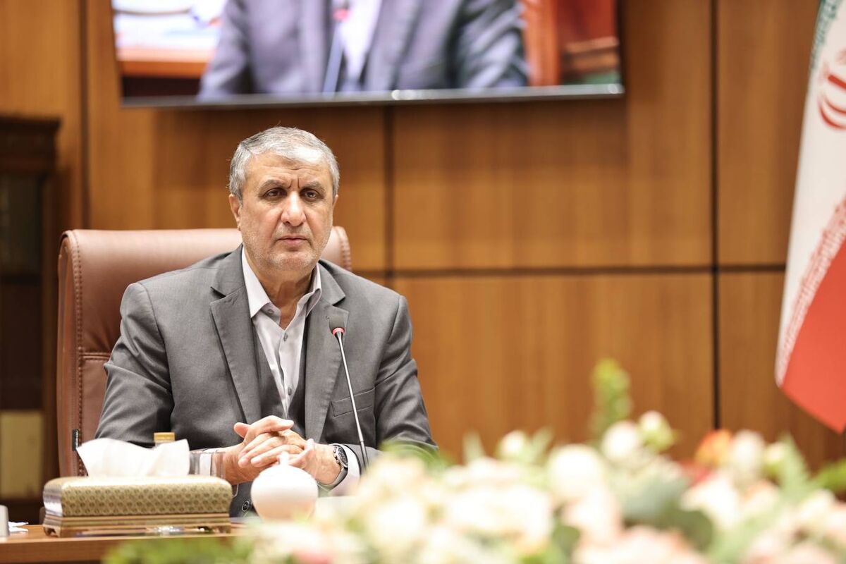 رئیس سازمان انرژی اتمی