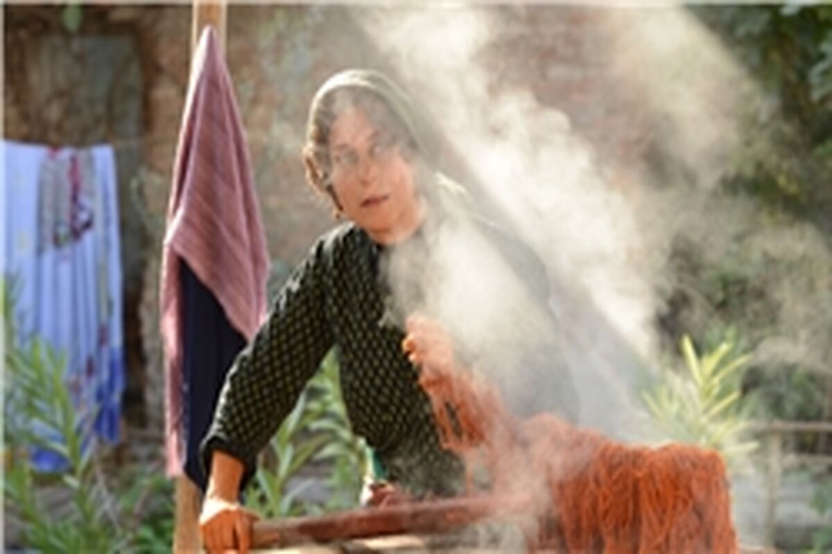 فیلم سینمایی «بنفشه آفریقایی»