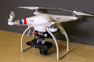 پهپادهایی که به شکل پرنده هستند