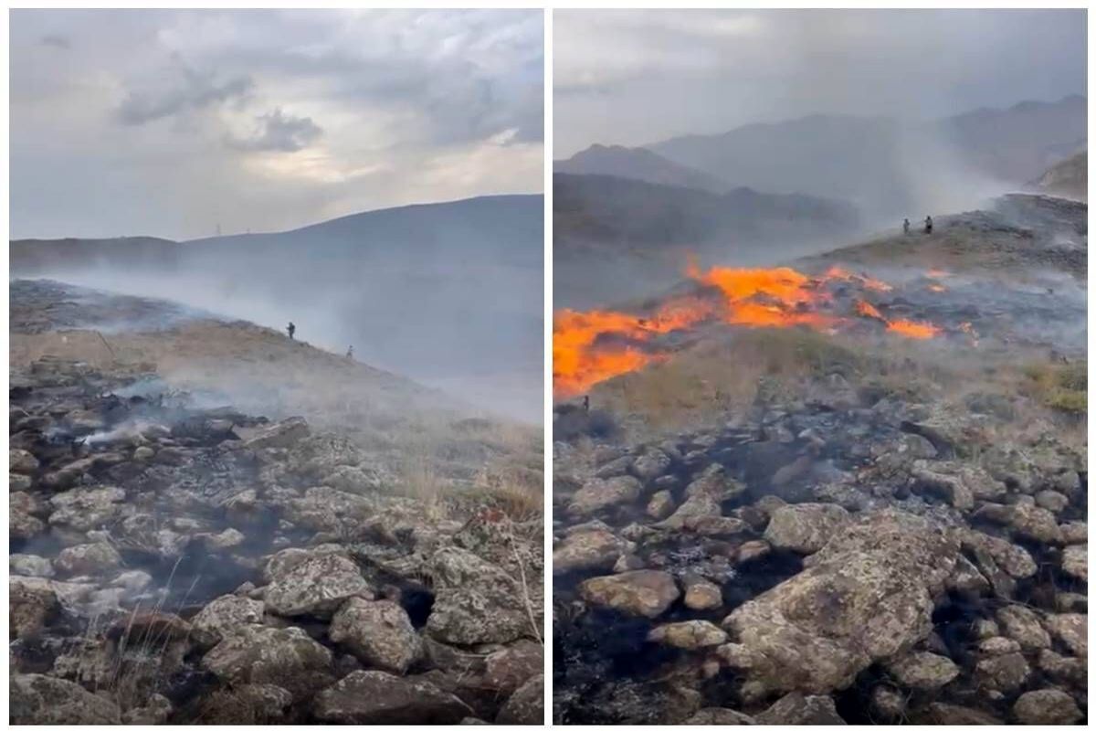 آتش‌سوزی مراتع حاشیه پارک ملی لار با همکاری جامعه محلی مهار شد