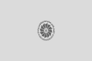 نهاد تجارت در کشورمان ایران با تحریم مختل است