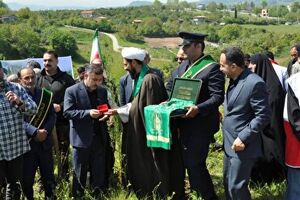 کاشت هزار و ۱۰۰ اصله نهال مثمر و جنگلی در ۱۱ شهرستان مازندران