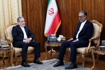 سفیر جدید ایران در لهستان با عراقچی دیدار کرد