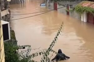 سقوط دو خودرو به رودخانه سیبلی/ 300 واحد مسکونی آستارا در محاصره سیل