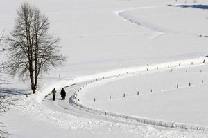 خطر سقوط و شکستگی در روزهای برفی را جدی بگیریم