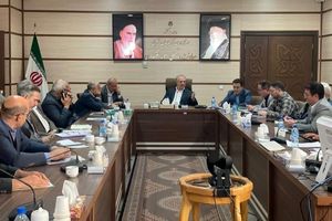 استفاده از تمام ظرفیت‌ها برای خرید تضمینی گندم در آذربایجان شرقی