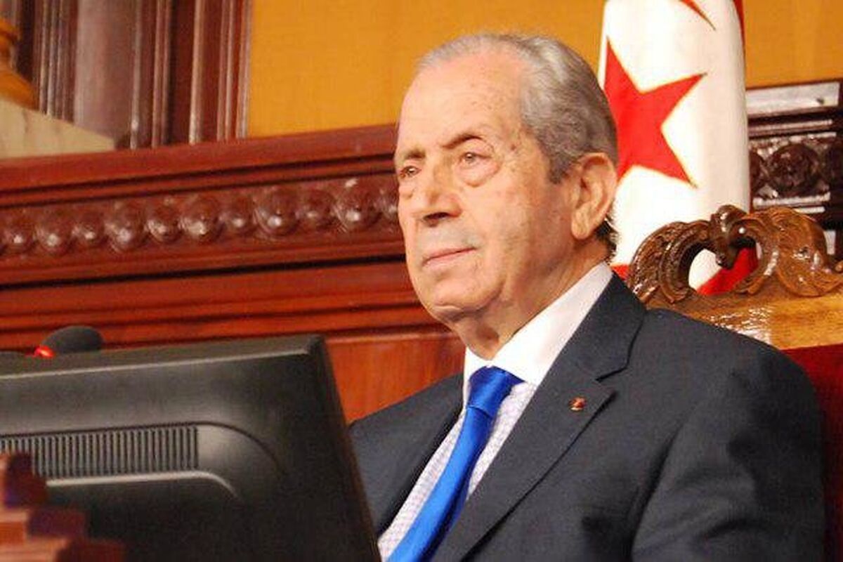 محمد الناصر