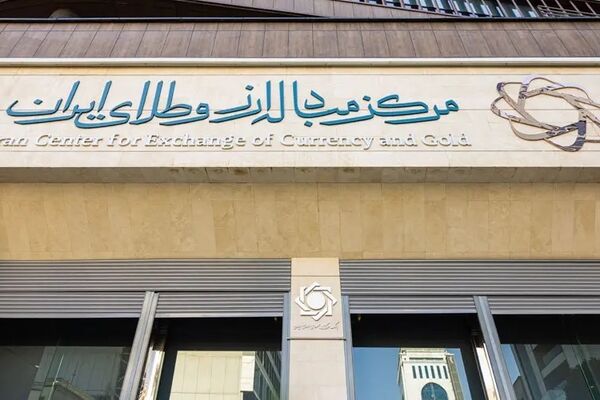 طرح گواهی سپرده ارزی با سقف ۵۰ میلیون یورو کلید خورد