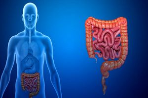 شانزدهمین همایش سالیانه کولورکتال در شیراز برگزار می‌شود