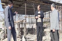 موزه سنگ در مشگین شهر راه اندازی می شود